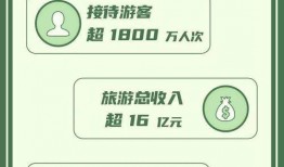 最新关键证人爆料案件分析